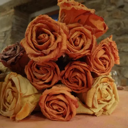 Rural Cayetana Hotell Piedrahita (Castile and Leon)