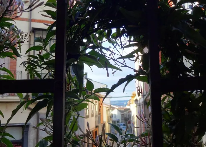 Rural Cayetana ホテル ピエドライタ